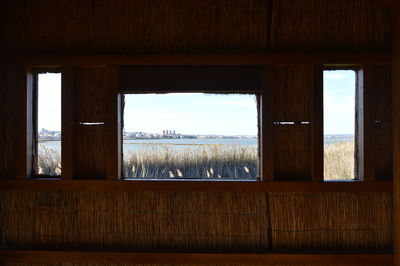 Trees seen through window of house