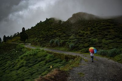 Rear view of person walking on road during rainy season