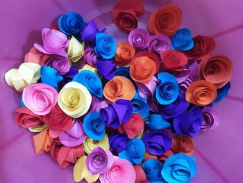 High angle view of multi colored roses on table