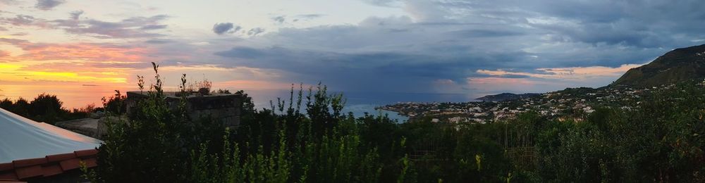 Panoramic view of trees and buildings against sky during sunset