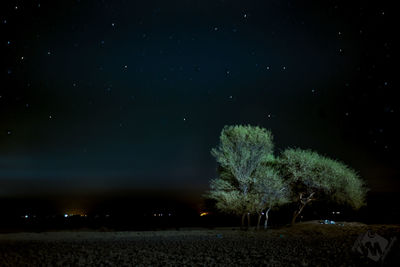 Trees on field against sky at night