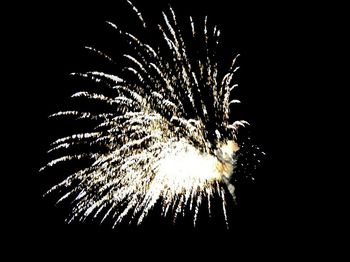 Low angle view of firework display