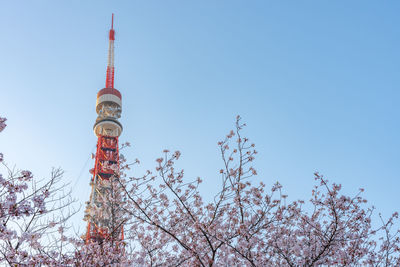 Low angle view of tokyo tower against clear blue sky during sunny day