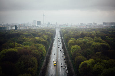 Road passing through forest