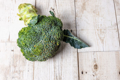 High angle view of vegetables on table