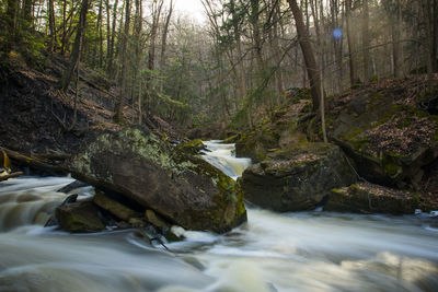 Stream flowing through rocks in forest