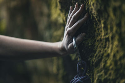 Close-up of hand holding safety harness by moss on rock