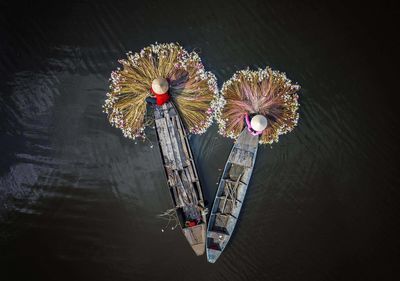 High angle view of flowering plant in sea