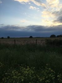 Scenic view of field against sky during sunset