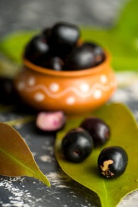 Close-up of fruits and leaves on table