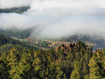 Panoramic shot of trees on landscape against sky