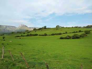 Scenic view of field against sky -ungino