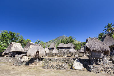 Houses by trees against clear blue sky