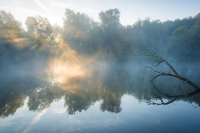 Reflection of trees in lake against sky