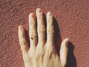 Close-up of human hand