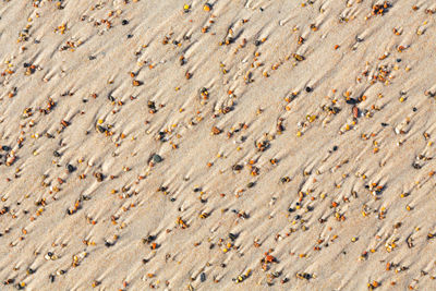 Full frame shot of sand