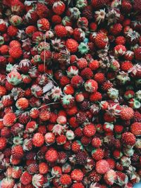 Full frame shot of strawberries
