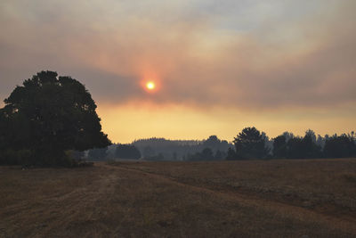 Scenic view of field against sky during sunset