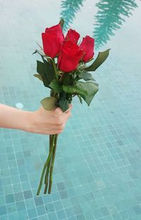 Close-up of hand holding rose plant in swimming pool