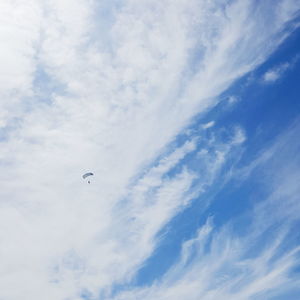 Low angle view of bird flying in sky