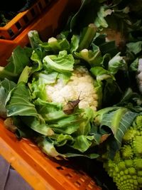 High angle view of vegetables on table