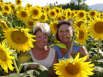 Portrait of smiling friends sitting amidst sunflowers on field