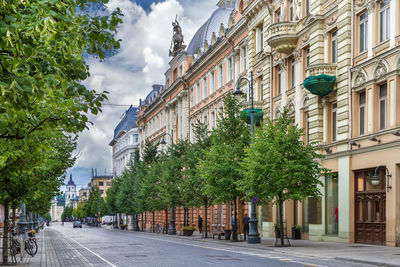 People walking on street in city