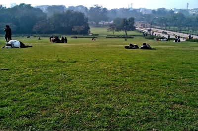 Scenic view of grassy field