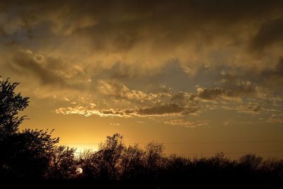 Silhouette trees on landscape against sky at sunset