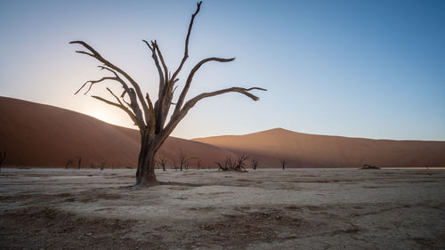 Scenic view of desert against clear sky