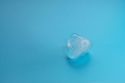 Jellyfish swimming in sea