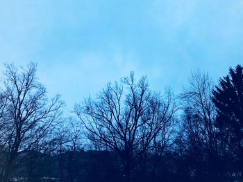 Low angle view of bare trees against sky