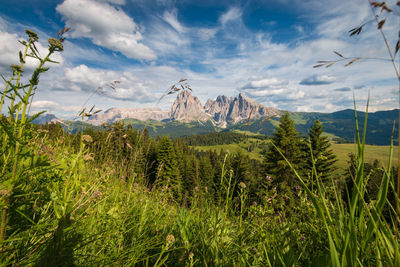 Scenic view of landscape against sky