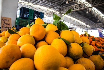 Close-up of oranges