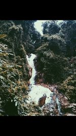 Scenic view of waterfall