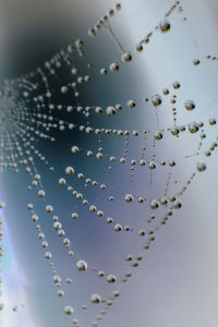 Low angle view of water drops against blue sky