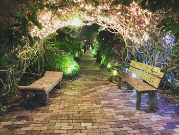 Empty benches against plants