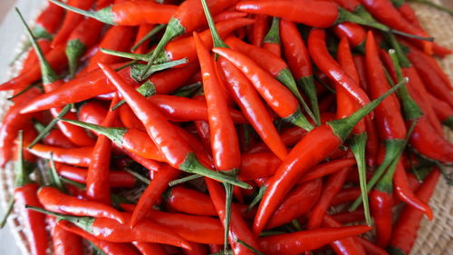 Red hot chili