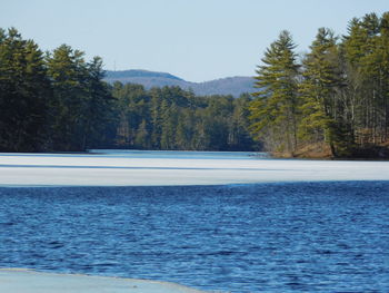 Scenic view of lake by trees against clear sky