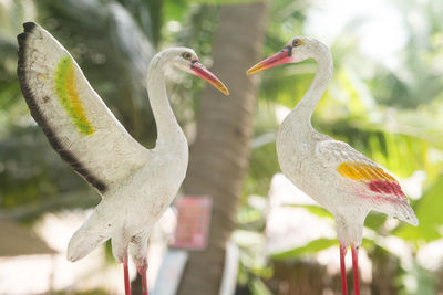 Close-up of birds perching