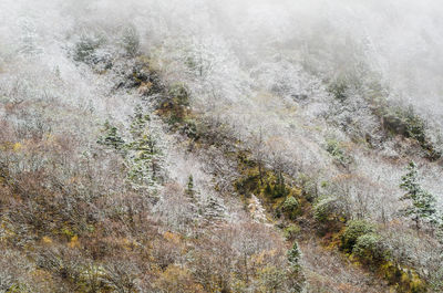 Full frame shot of snow covered land