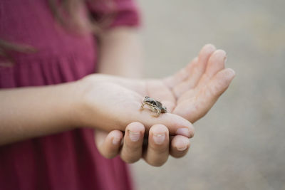 Frog sitting on girl hand