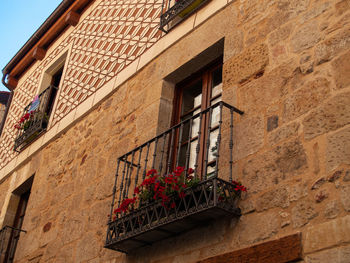 Low angle view of potted plant on wall of building