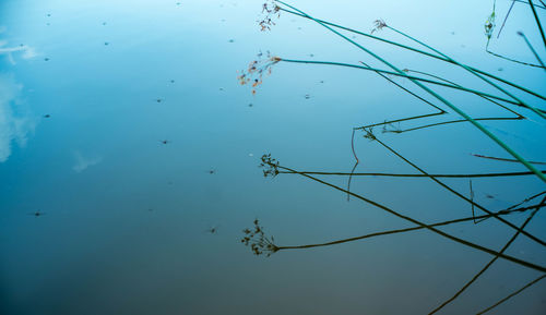 Reflection of blue sky in lake