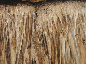 Full frame shot of ground