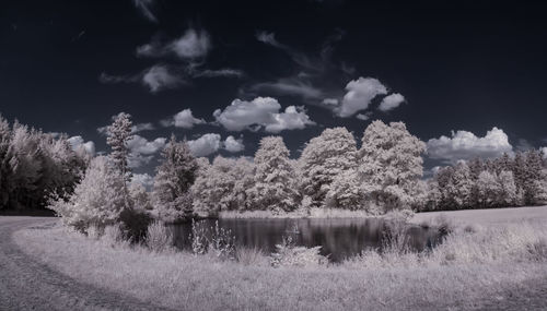 Scenic view of lake and trees against sky