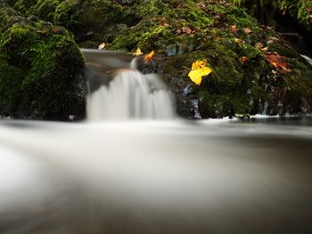 Scenic view of waterfall in forest