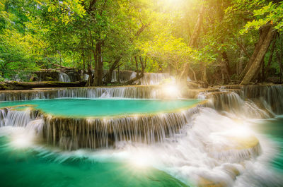 Scenic view of waterfall in forest