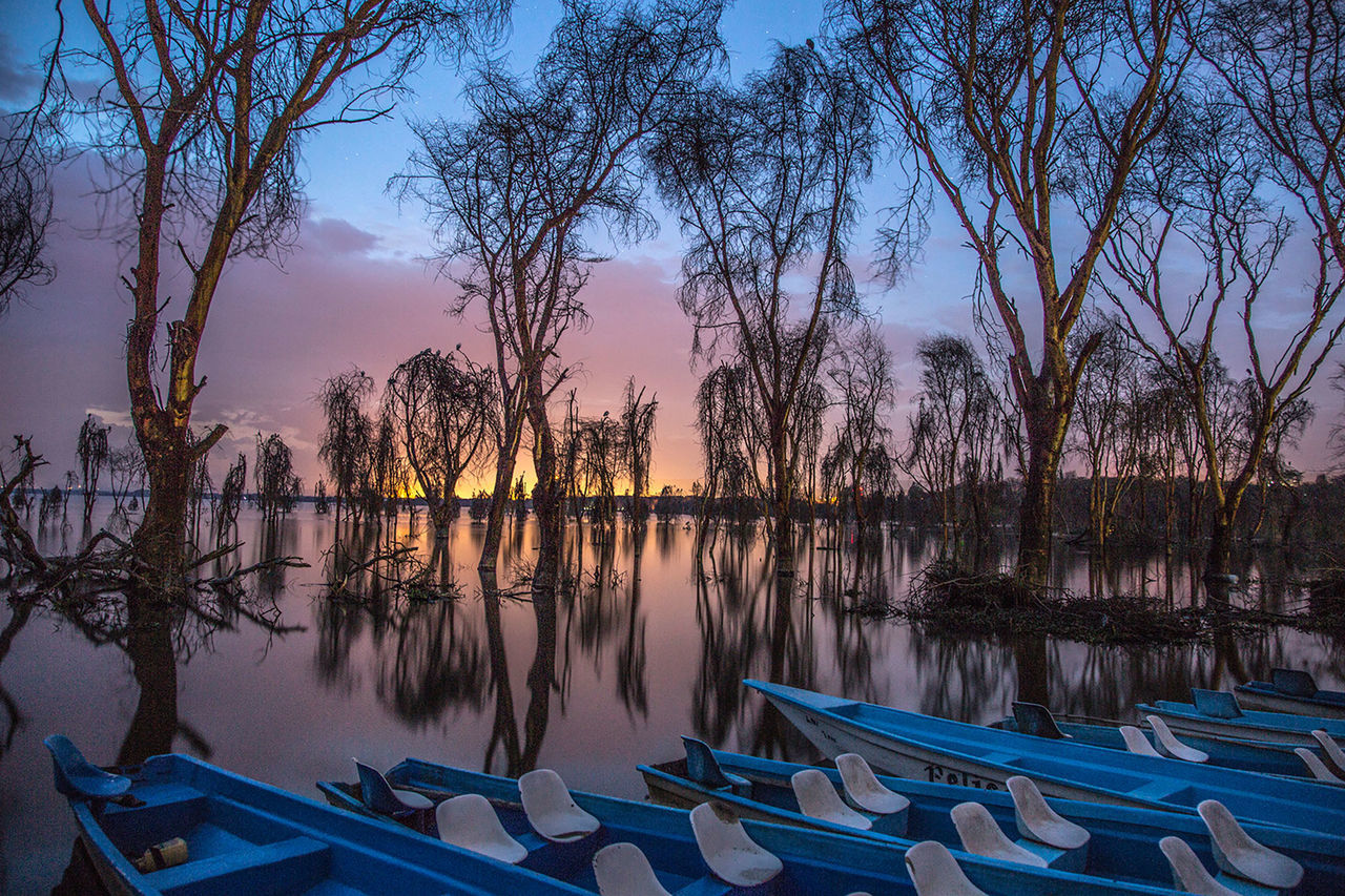 tree, water, reflection, lake, sky, no people, sunset, bare tree, nature, beauty in nature, tranquility, outdoors, moored, branch, scenics, nautical vessel, day