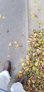 Low section of man standing on street